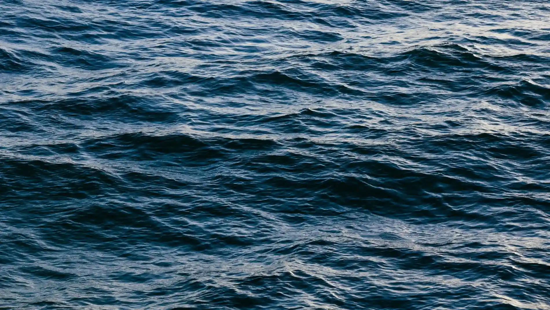 Game Changer sport fishing boat offshore at sunset